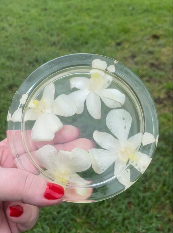 Coasters